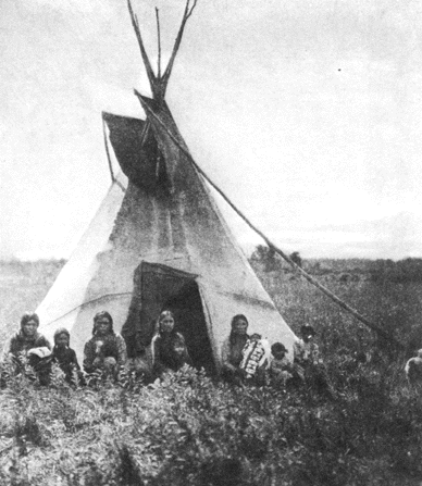 Berry picker in camp, 1920s