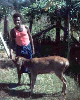 Eddie as a Teenager, 1950s, 1950s