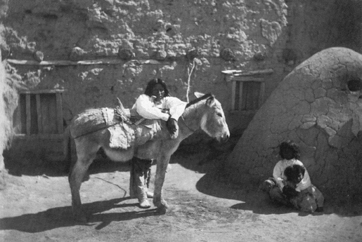 Pueblo Indian & Burro, 1880-90